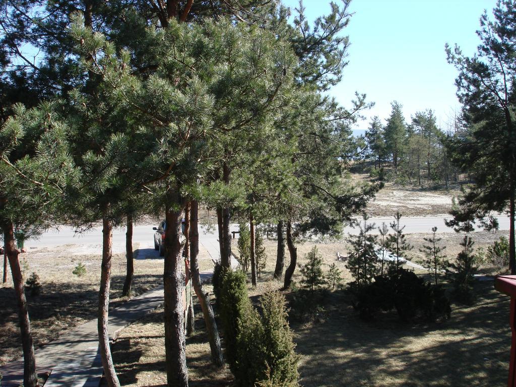 Guesthouse "Nakvyne Pas Zveja" Purvynes Street Nida Kültér fotó